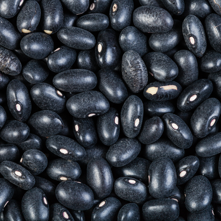 Black Turtle Bean