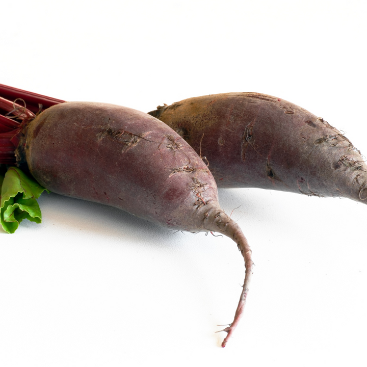 Cylindra Beet