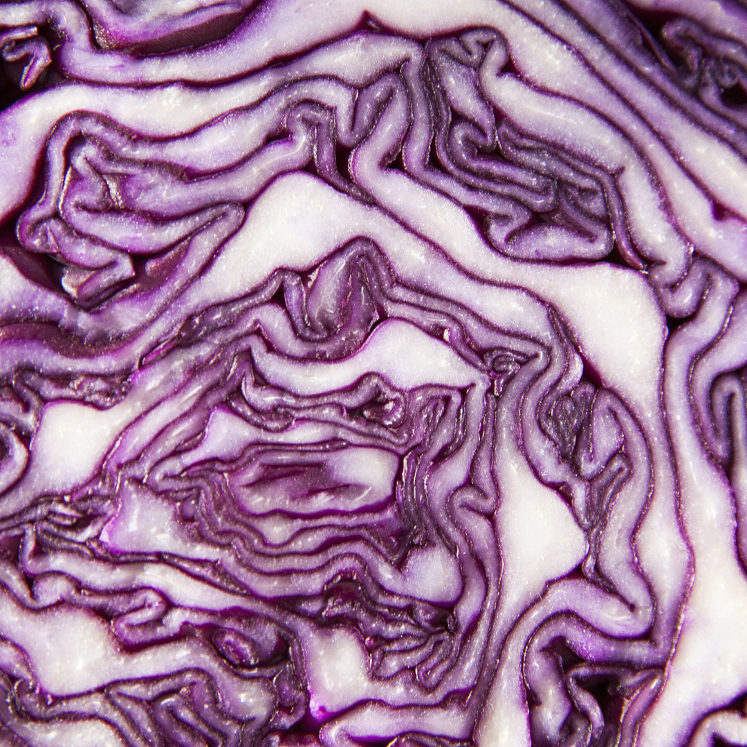 Red Express Cabbage