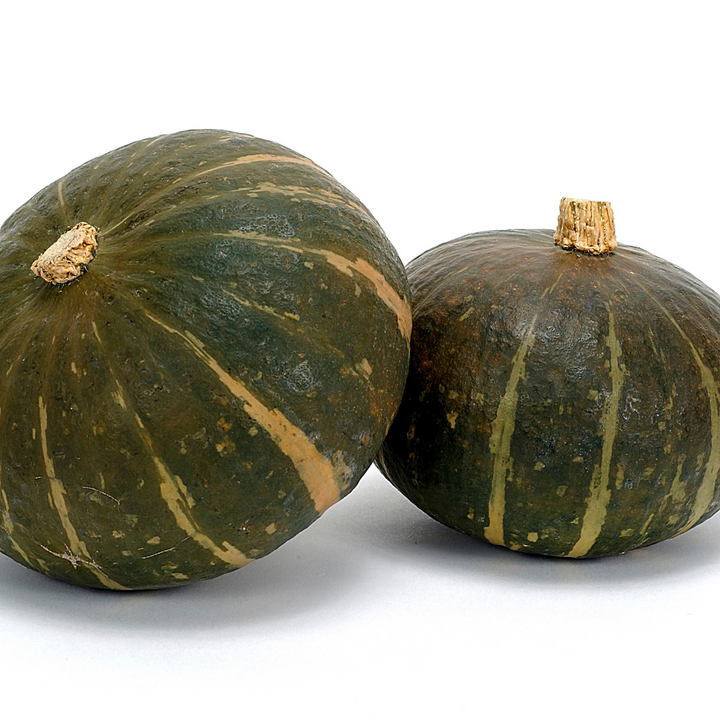 Burgess Buttercup Squash