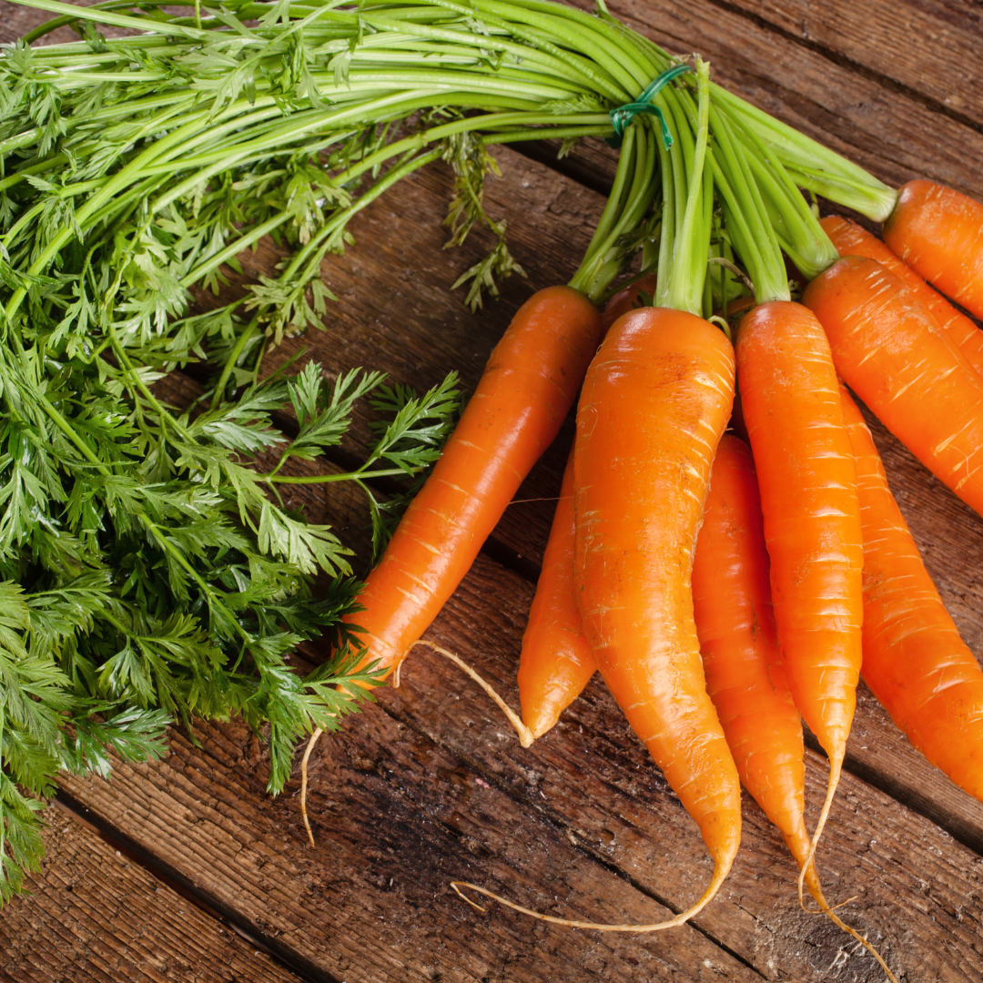 Red Chantenay Carrot