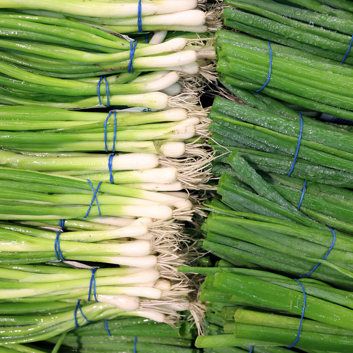 Green Banner Bunching Onion