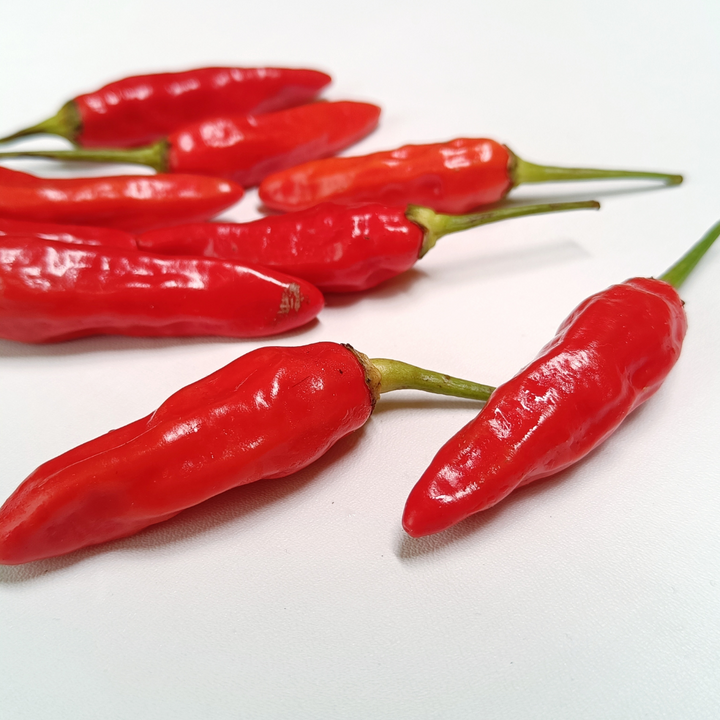 Tabasco Pepper