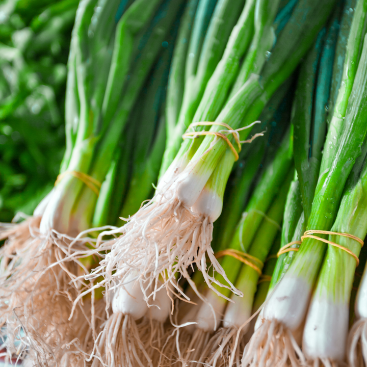 Parade Bunching Onion