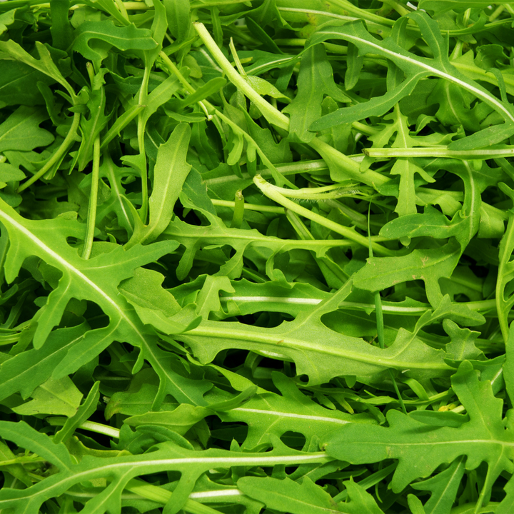 Arugula (Roquette)