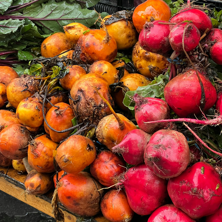 Rainbow Mix Beet