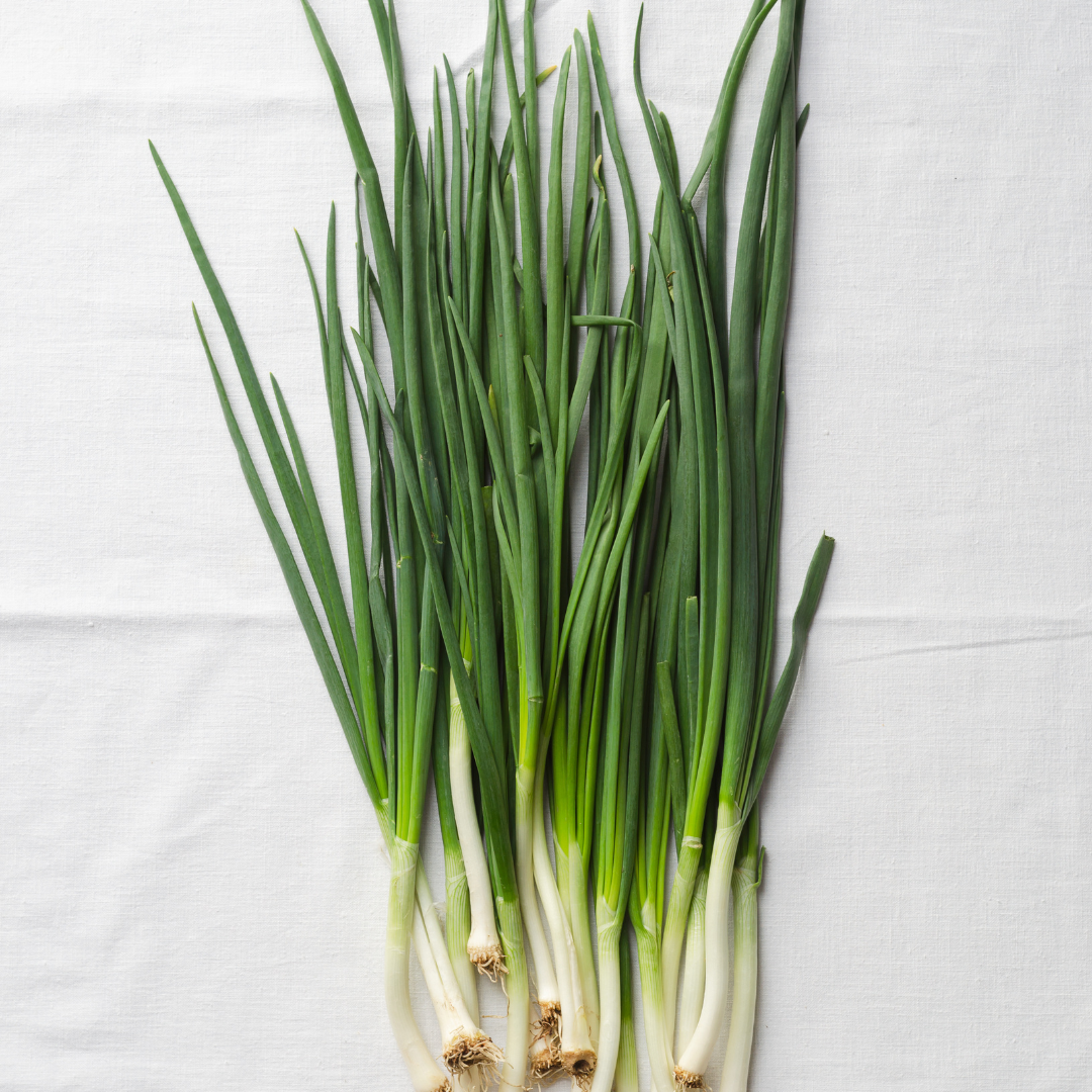 Green Banner Bunching Onion