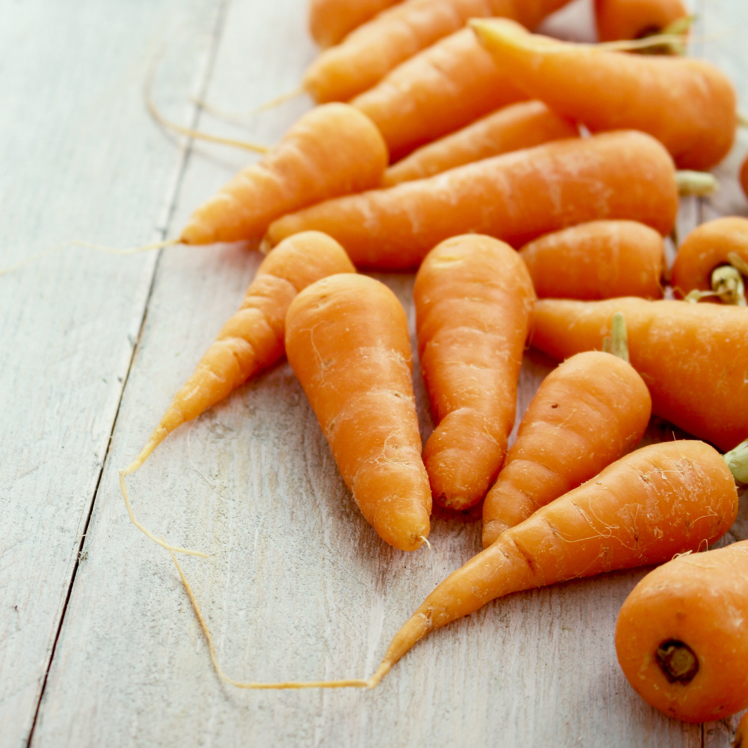 Red Chantenay Carrot