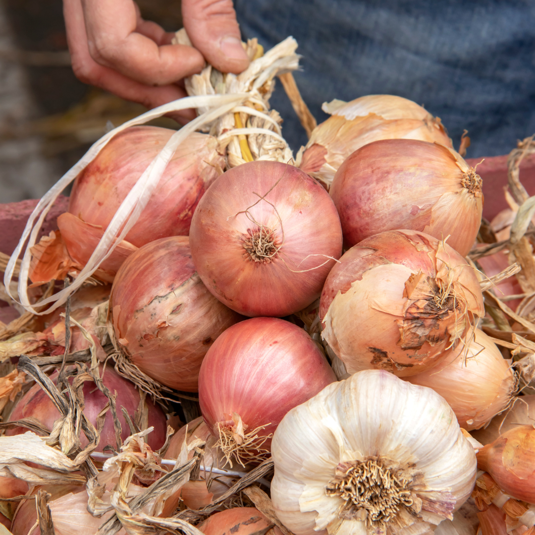 Blush Onion