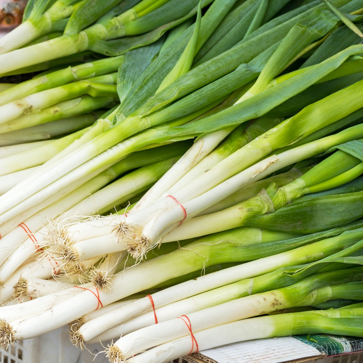 Parade Bunching Onion