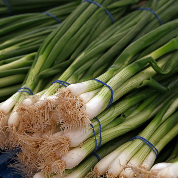 Green Banner Bunching Onion