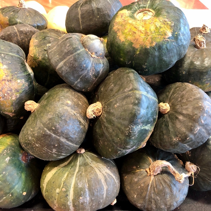 Burgess Buttercup Squash