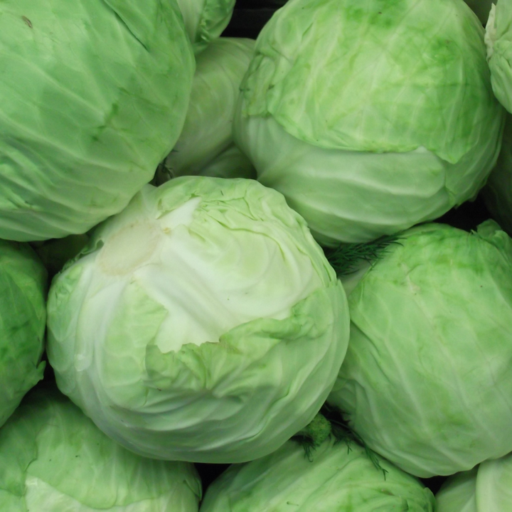 Copenhagen Market Cabbage