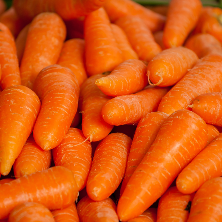 Red Chantenay Carrot