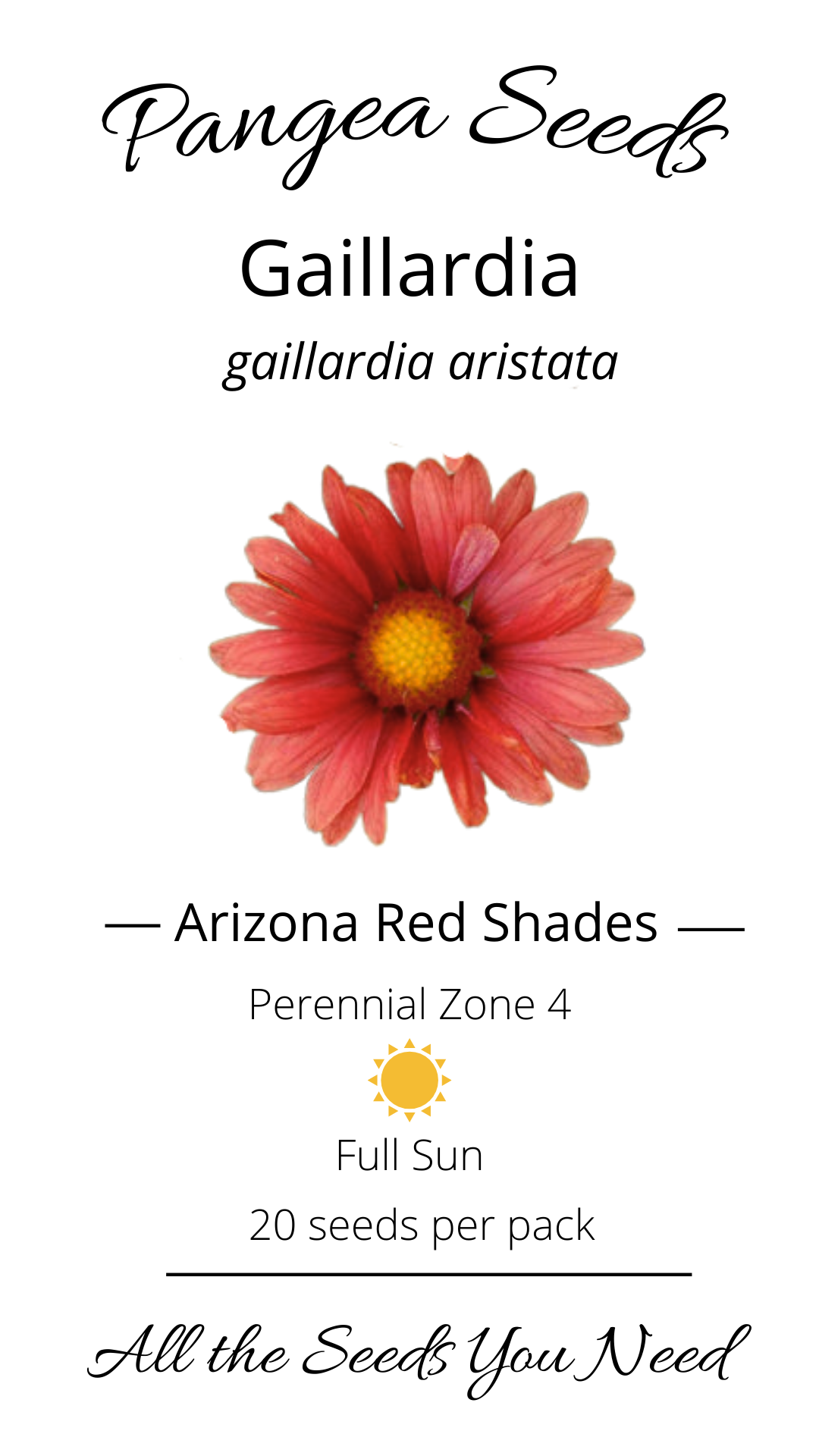 Arizona Red Shades Gaillardia