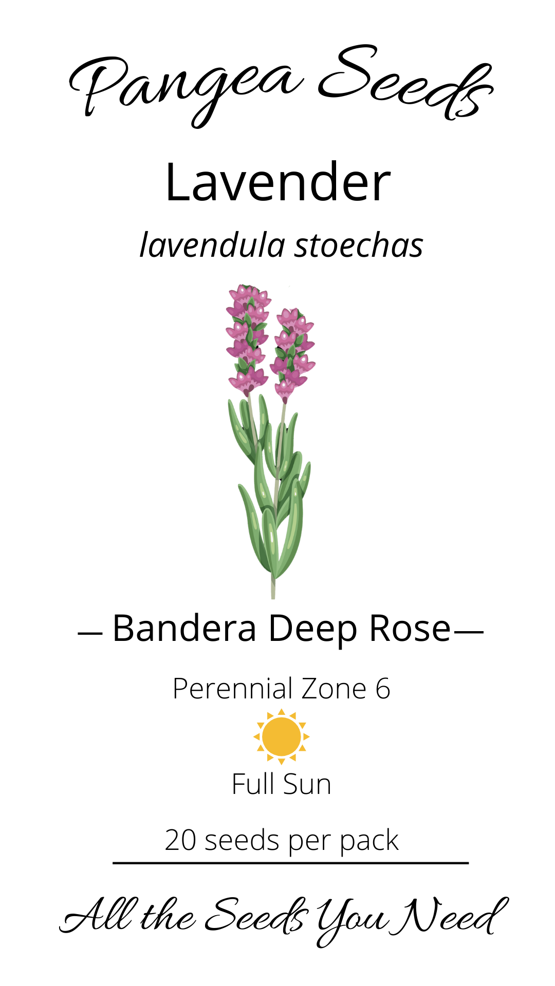 Bandera Deep Rose Lavender