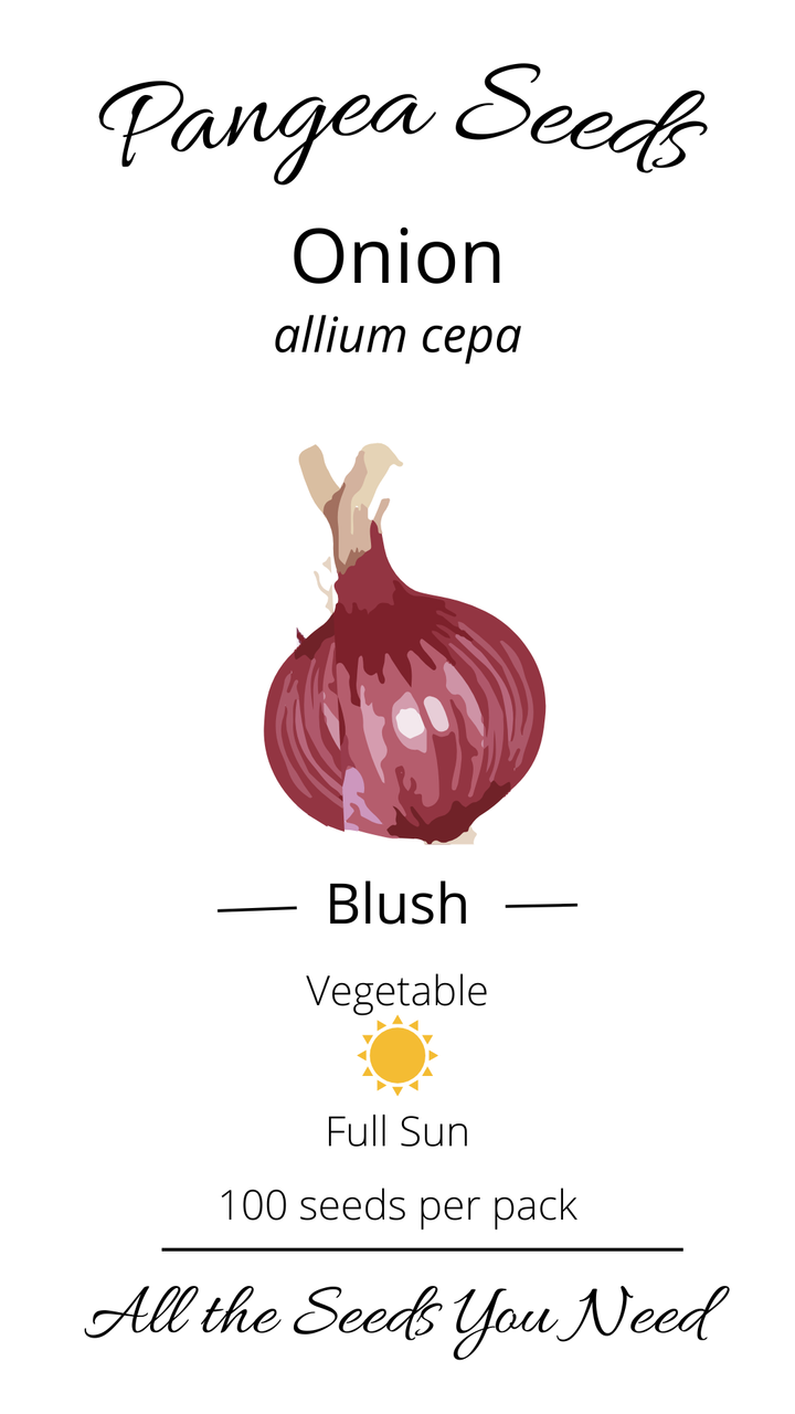 Blush Onion