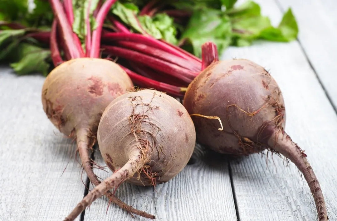 Bull's Blood Beet