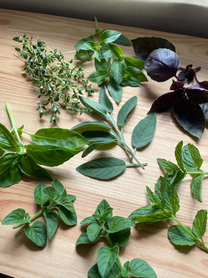 Counter Top Herb Selection