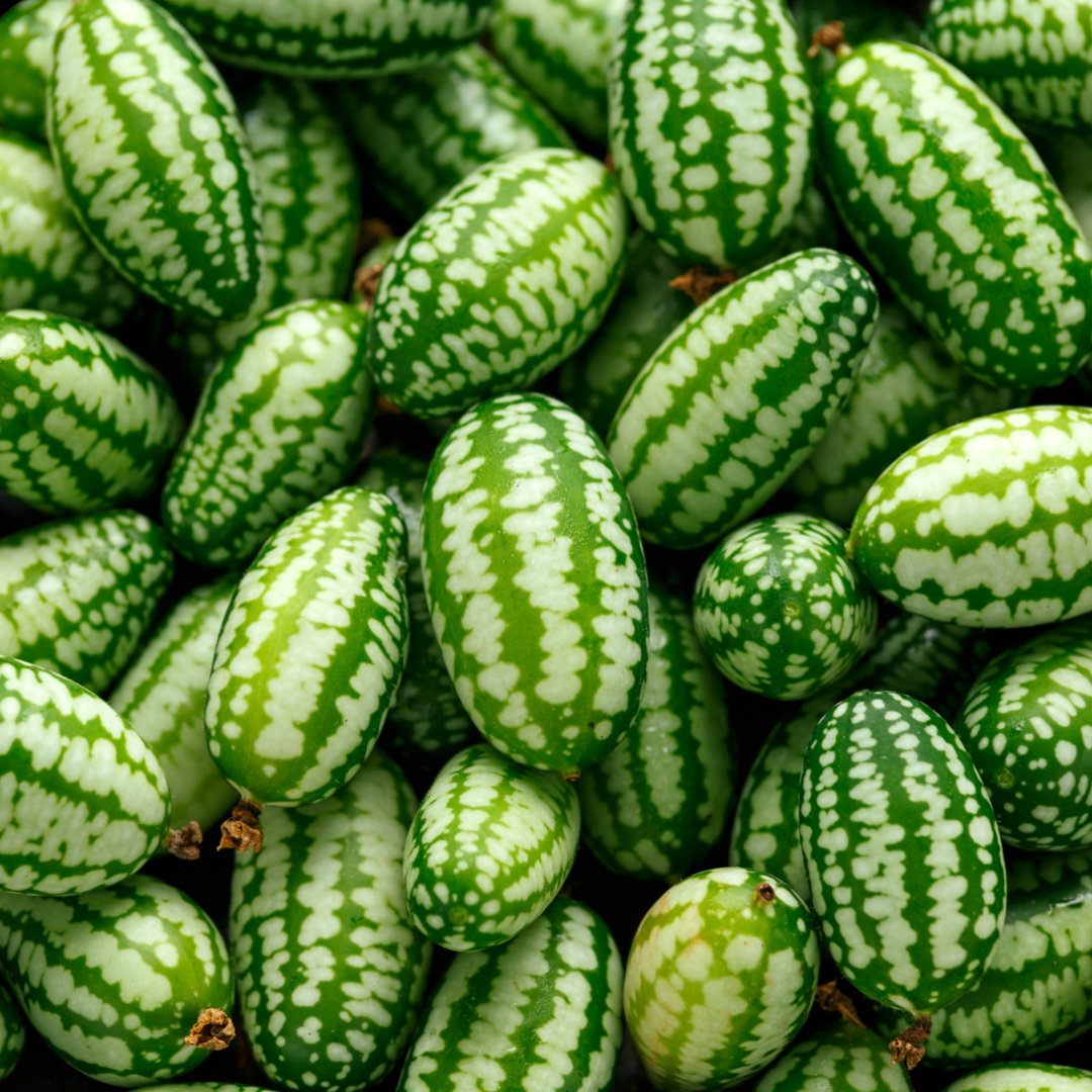 Cucamelon