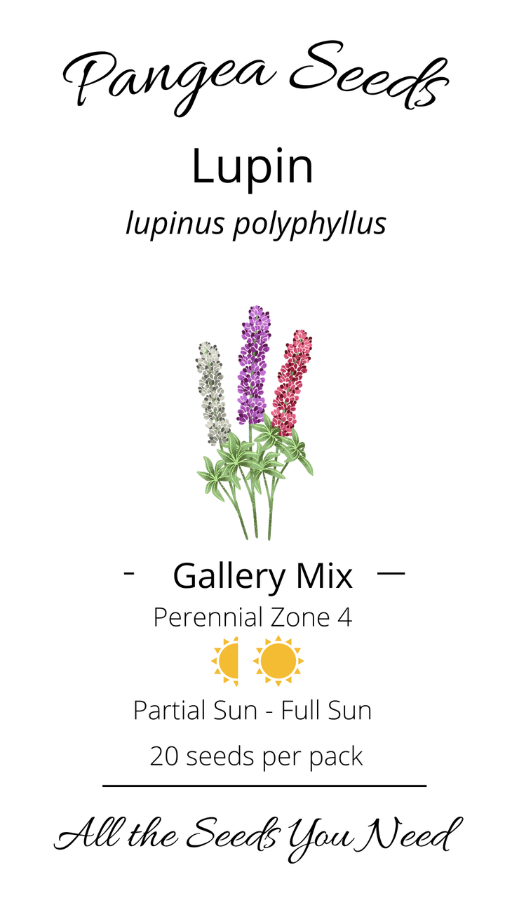 Gallery Mix Lupin