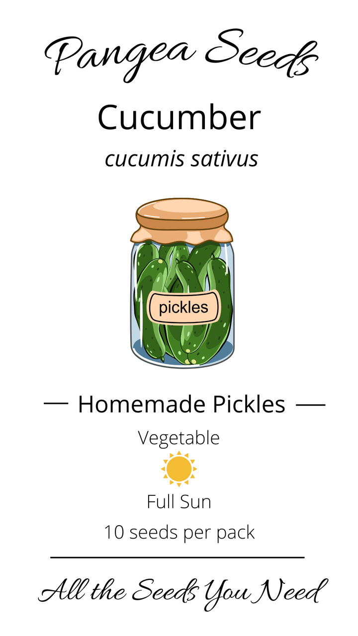 Homemade Pickles Cucumber