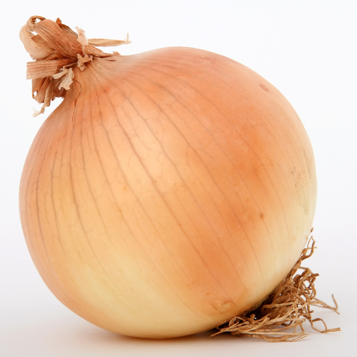 Candy Onion