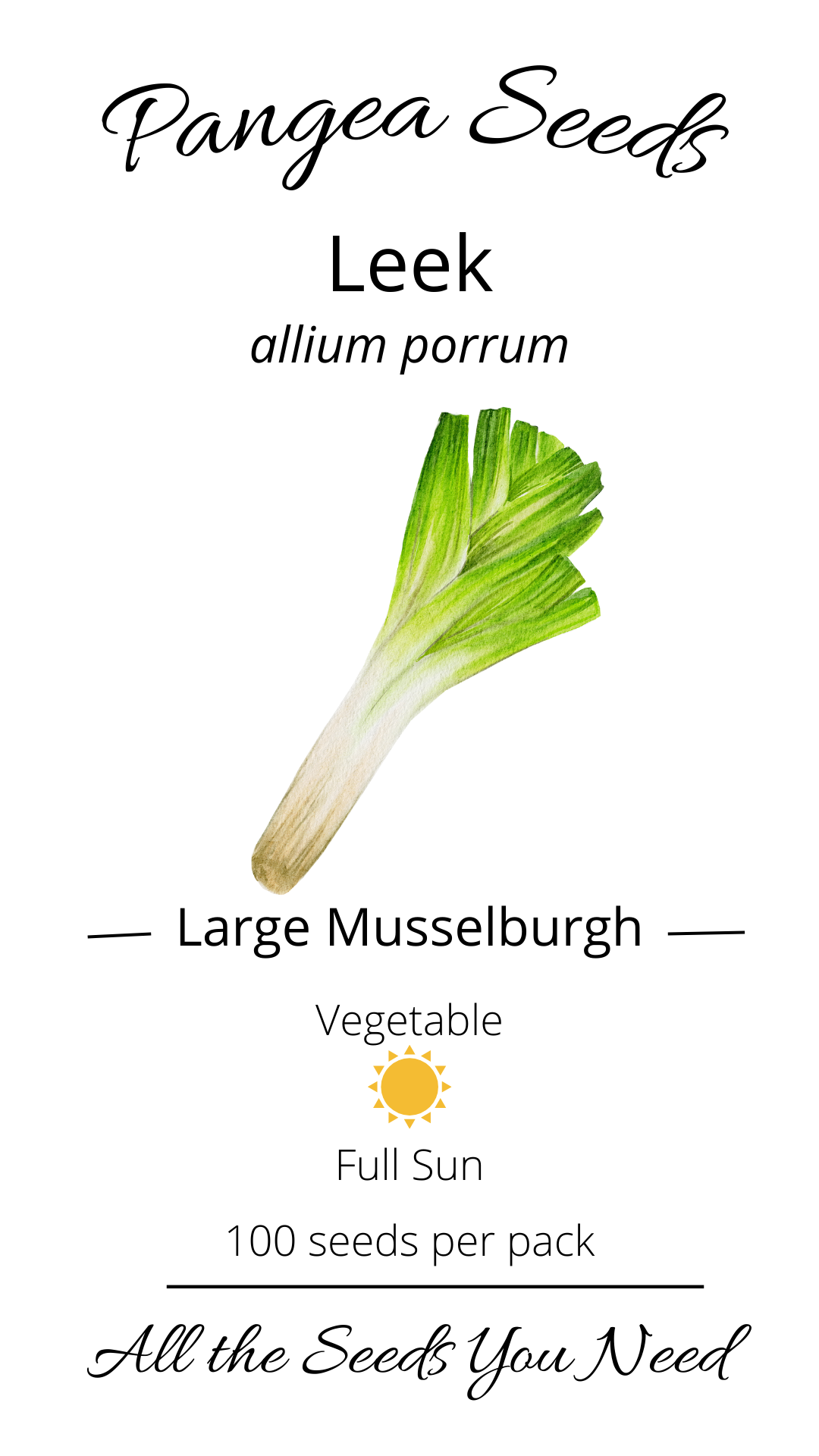 Large Musselburgh Leek