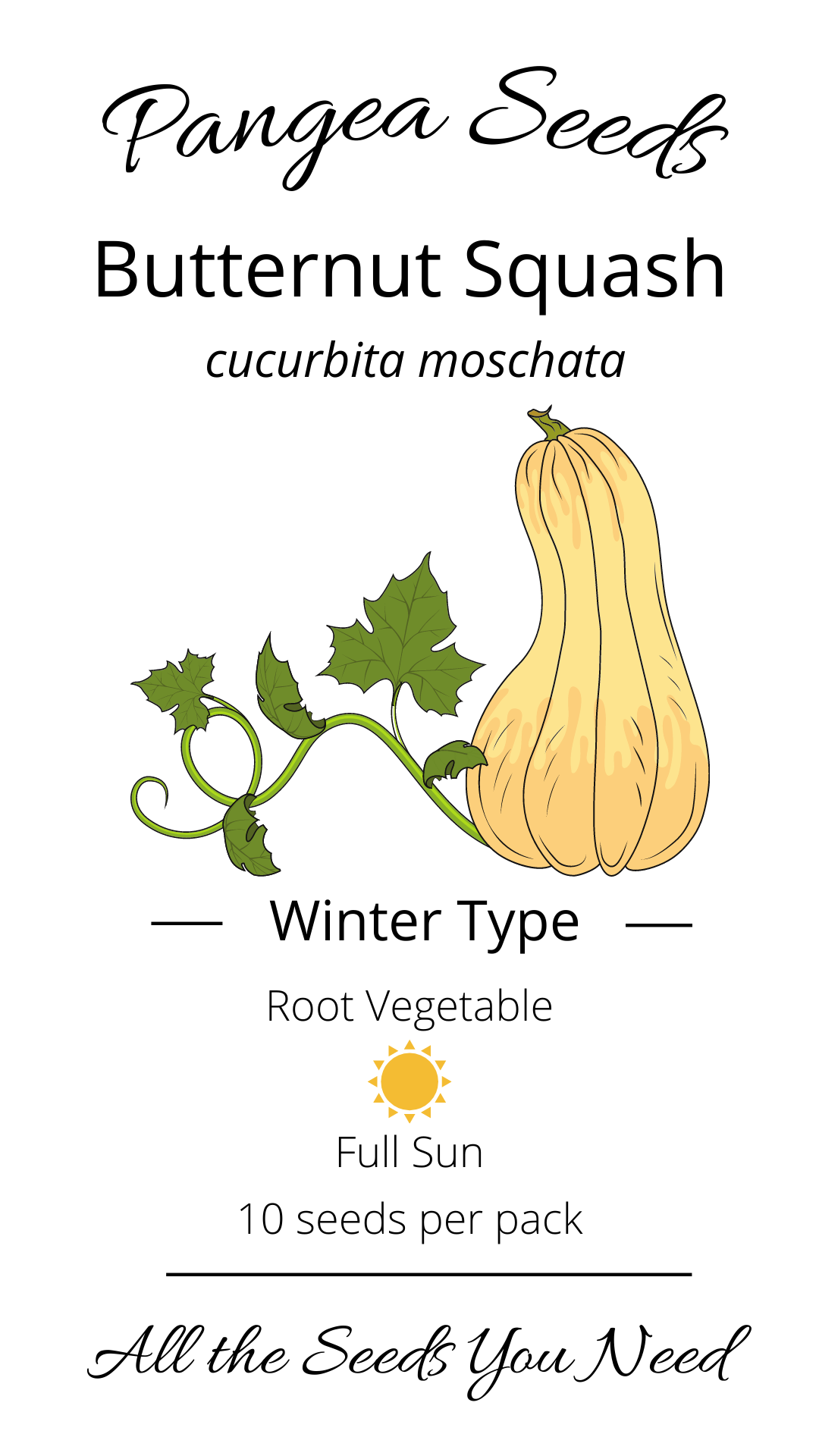 Butternut Squash (Winter Type)