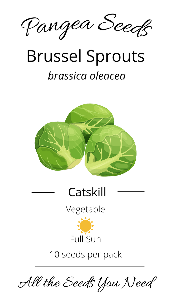 Catskill Brussel Sprouts