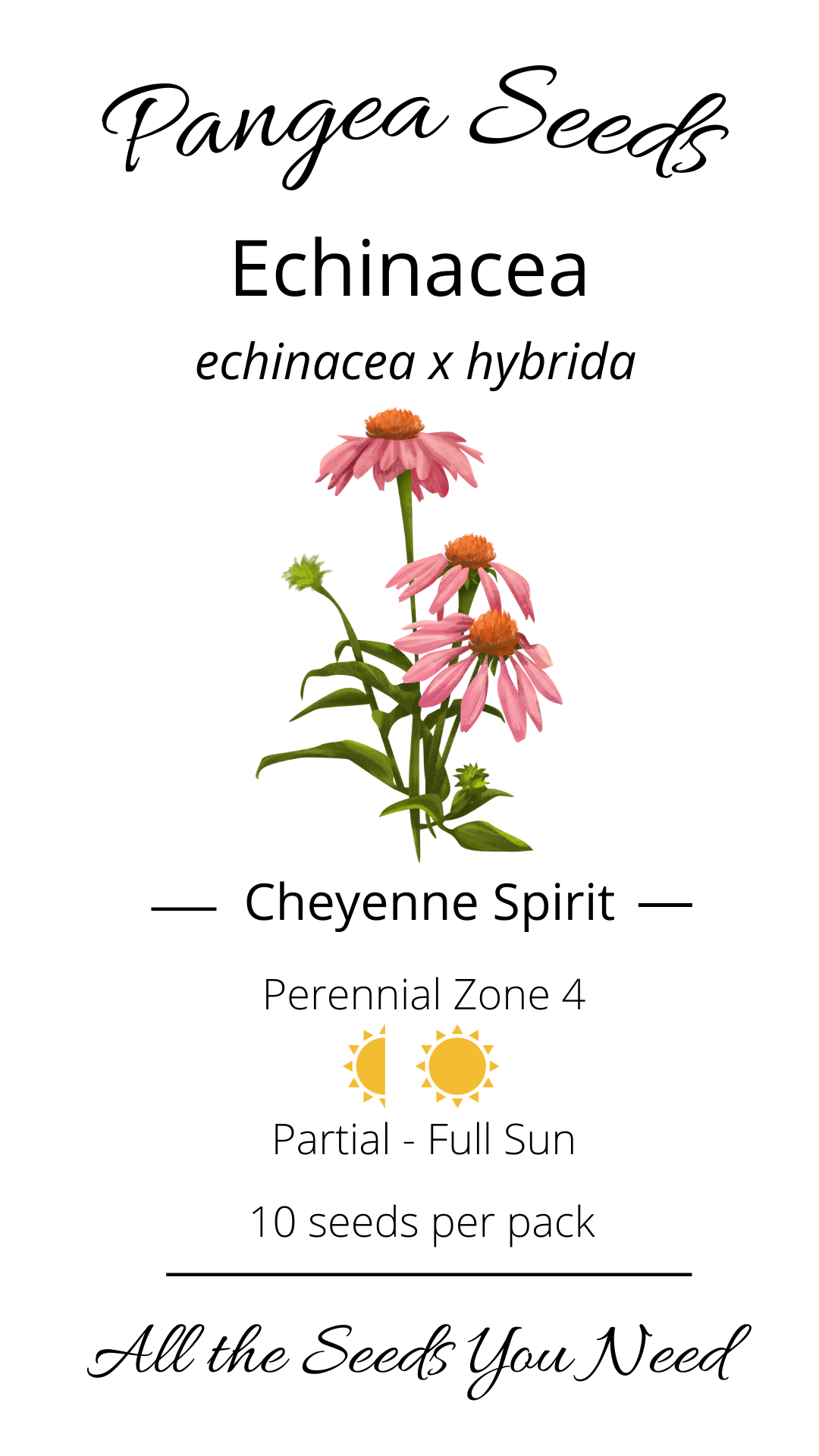 Echinacea Cheyenne Spirit