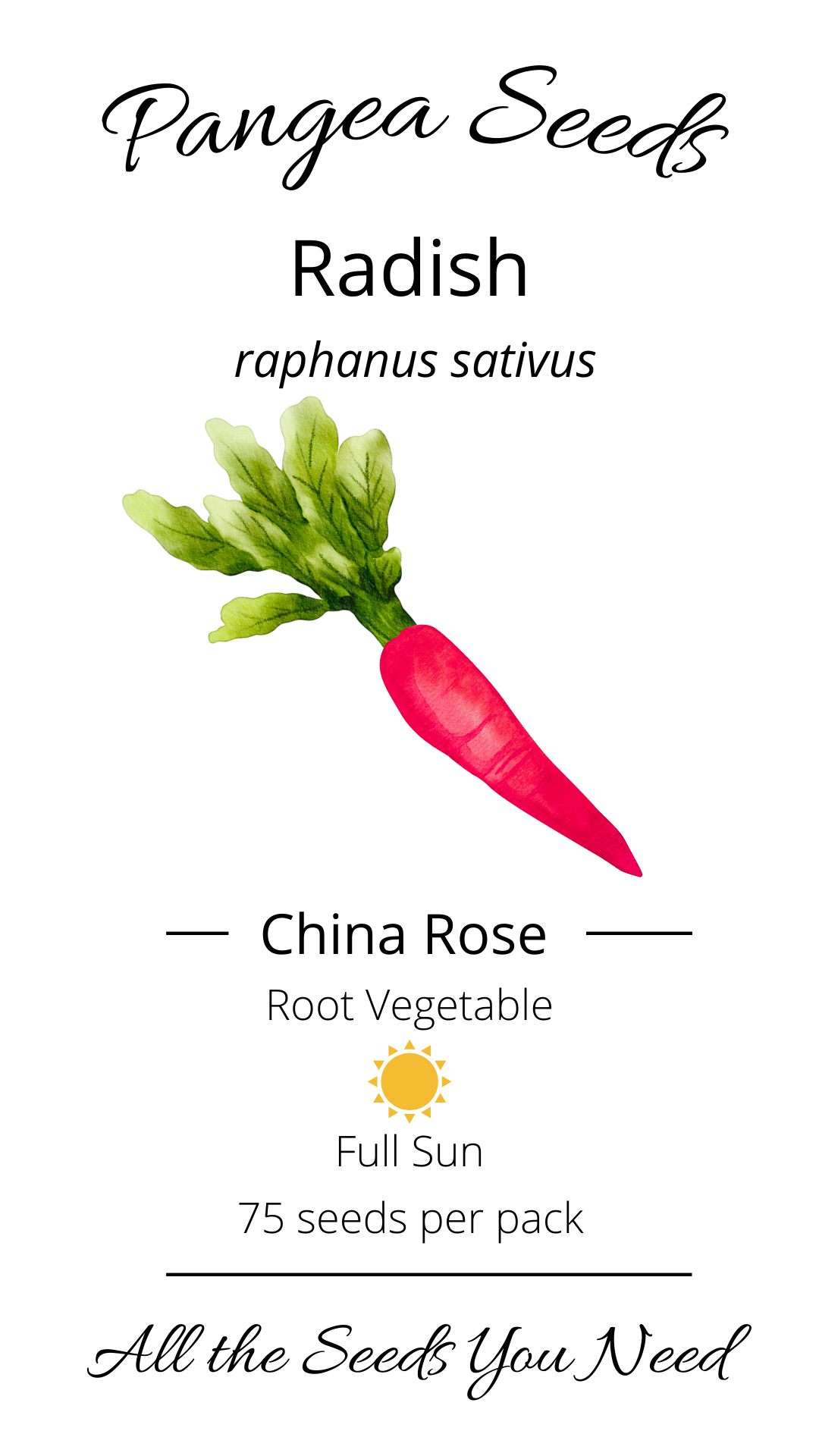 China Rose Radish