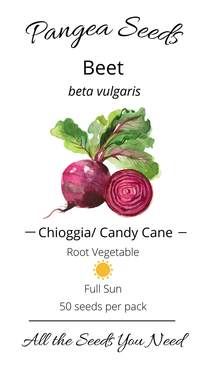 Chioggia/ Candy Cane Beet