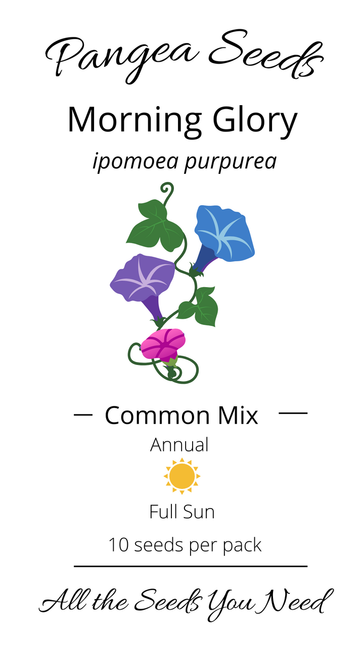 Common Morning Glory Mix