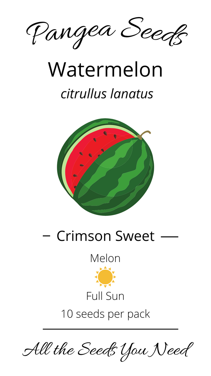 Crimson Sweet Watermelon