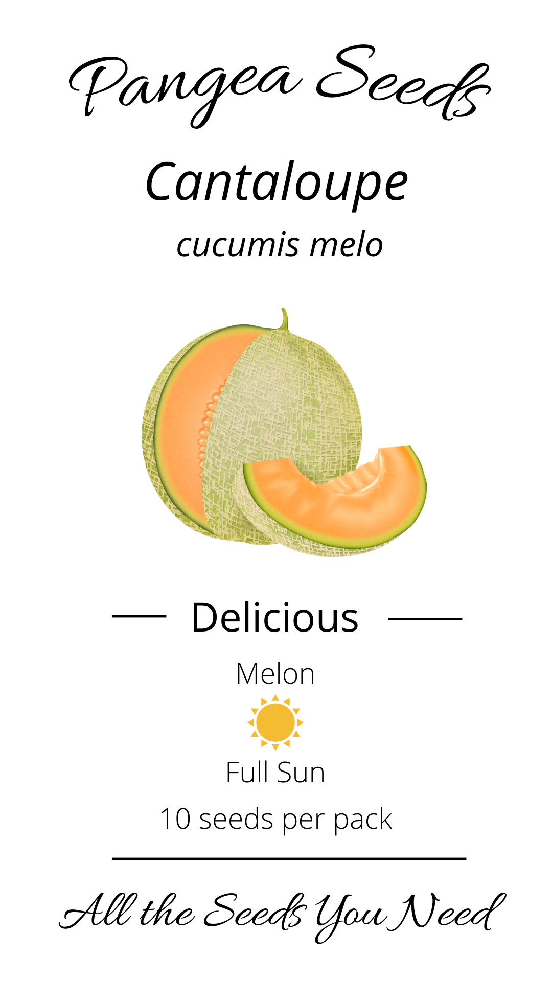 Delicious Cantaloupe