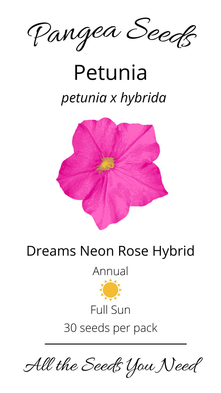 Dreams™ Neon Rose Petunia