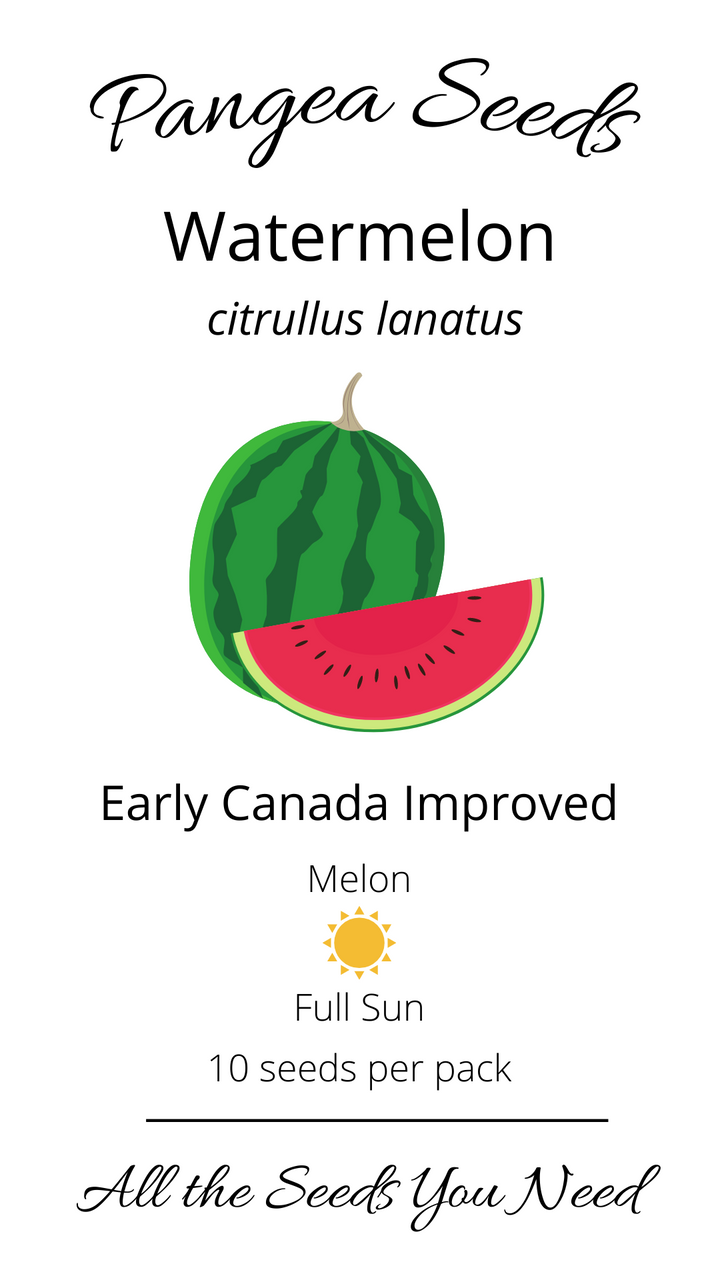 Early Canada Improved Watermelon