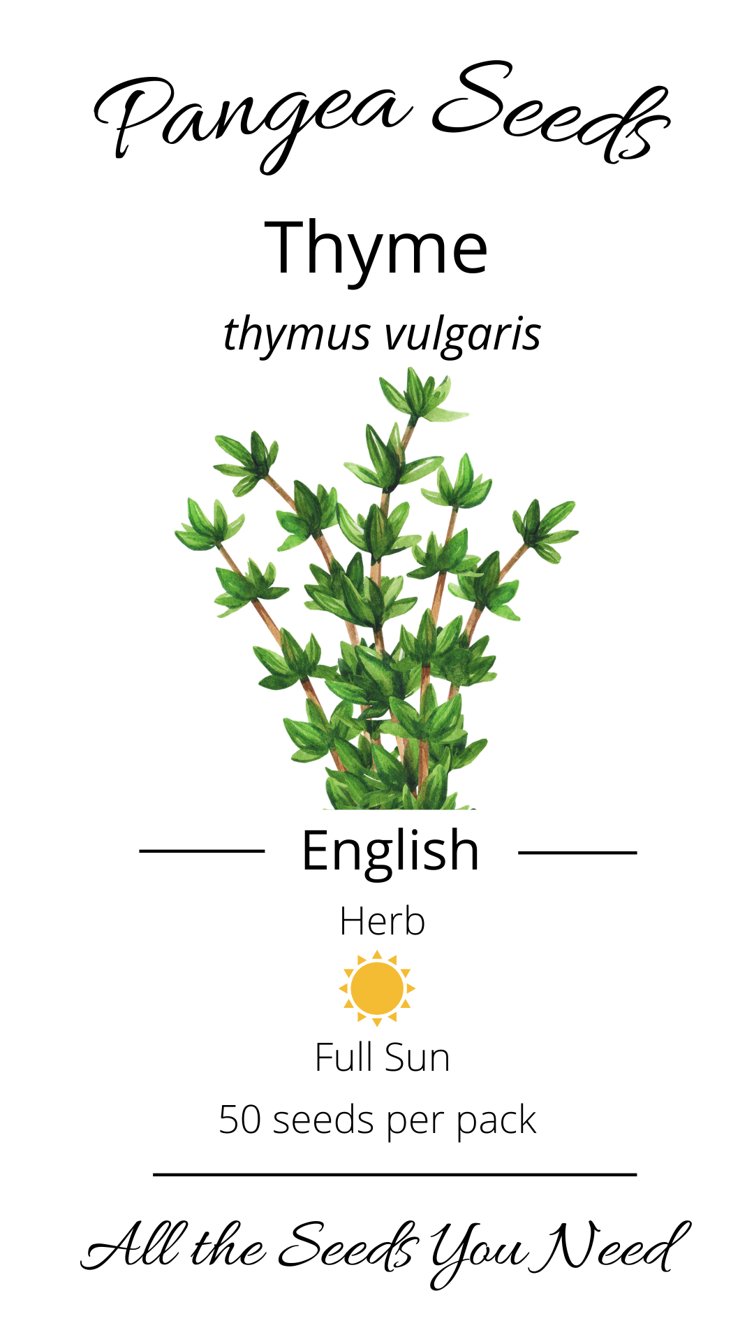 English Thyme