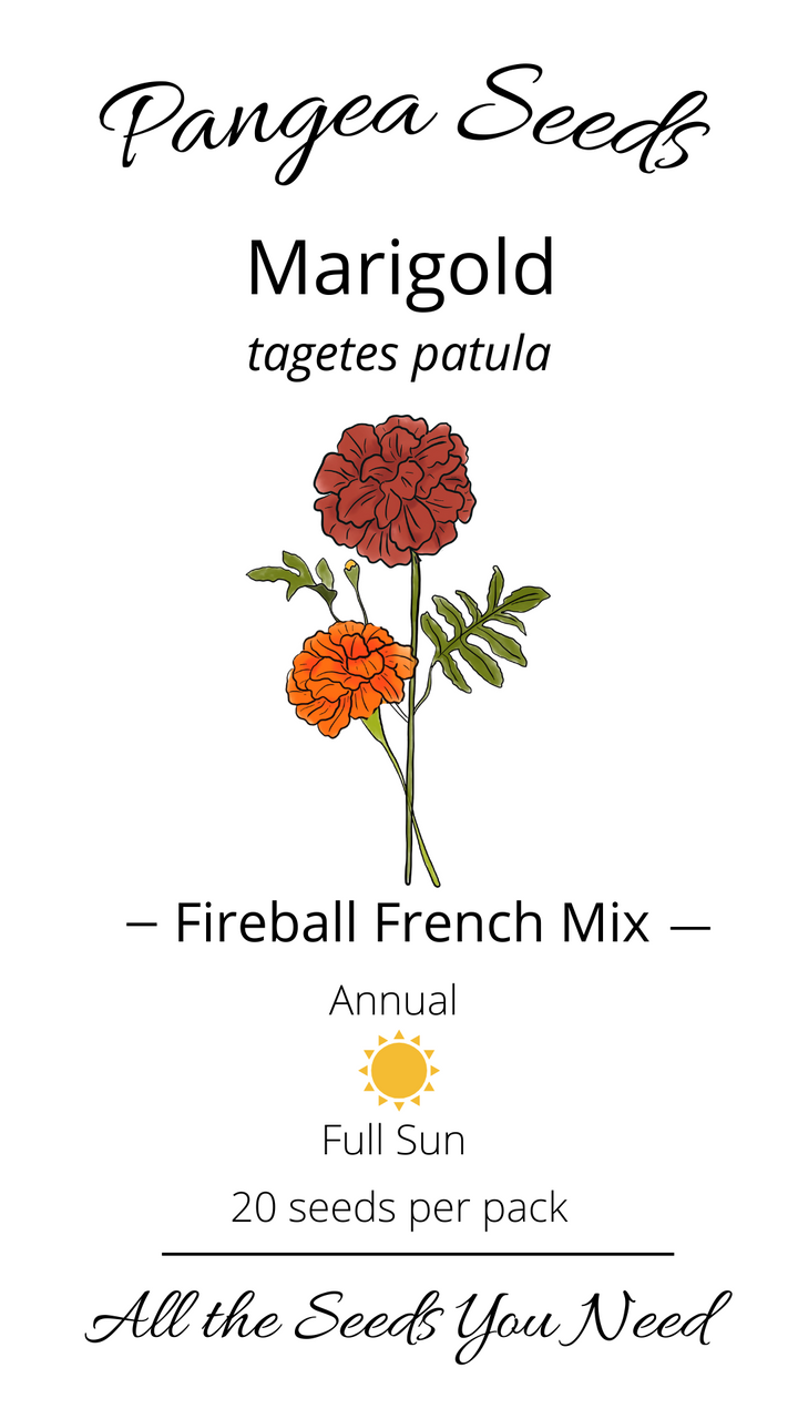 Fireball French Marigold Mix