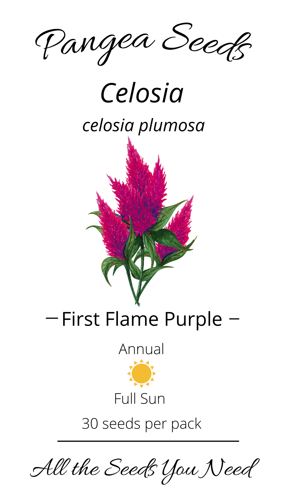 First Flame™ Purple Celosia