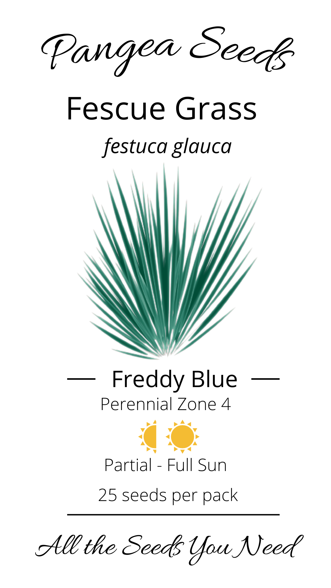 Freddy Blue Fescue Grass