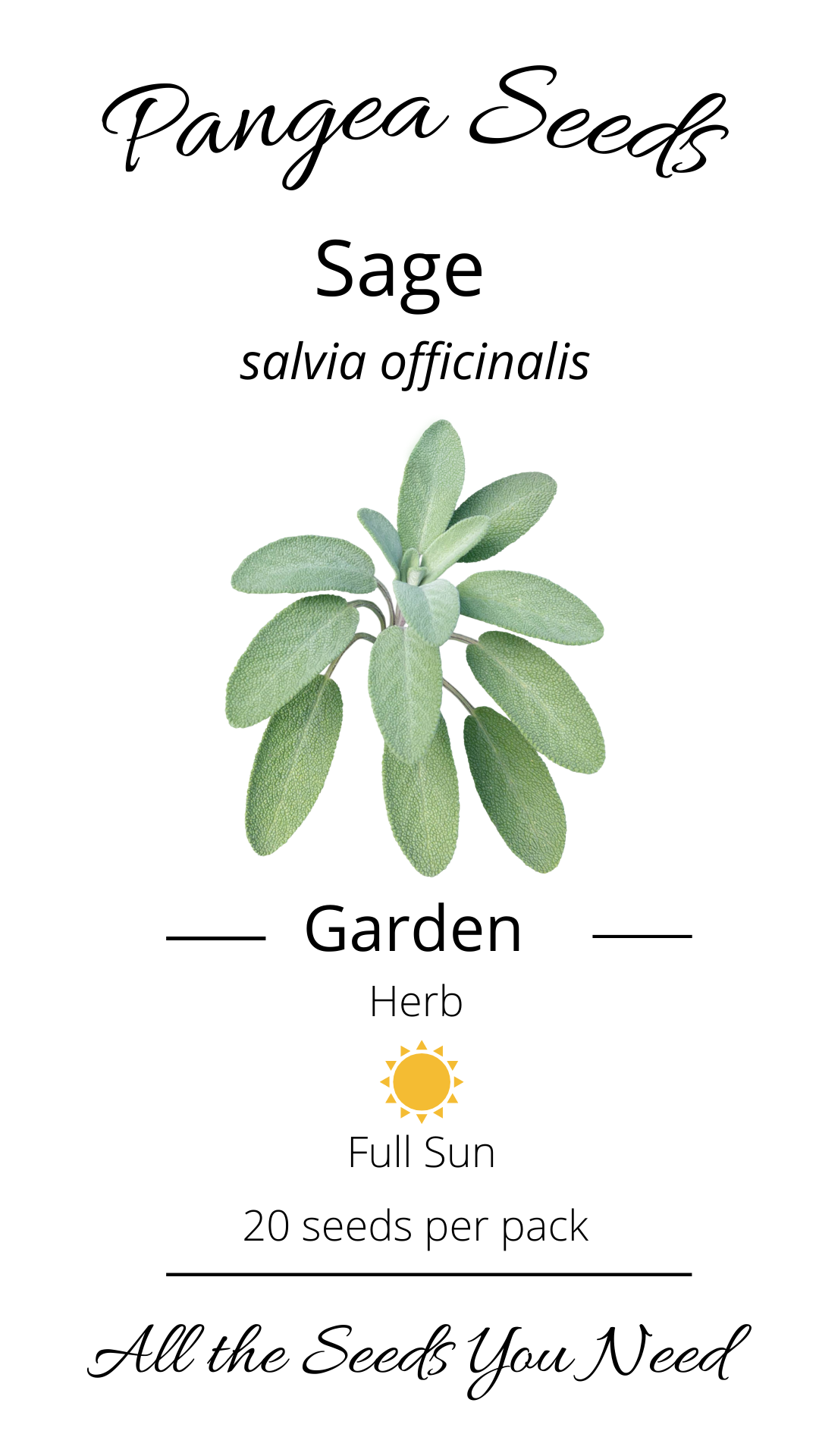 Garden Sage