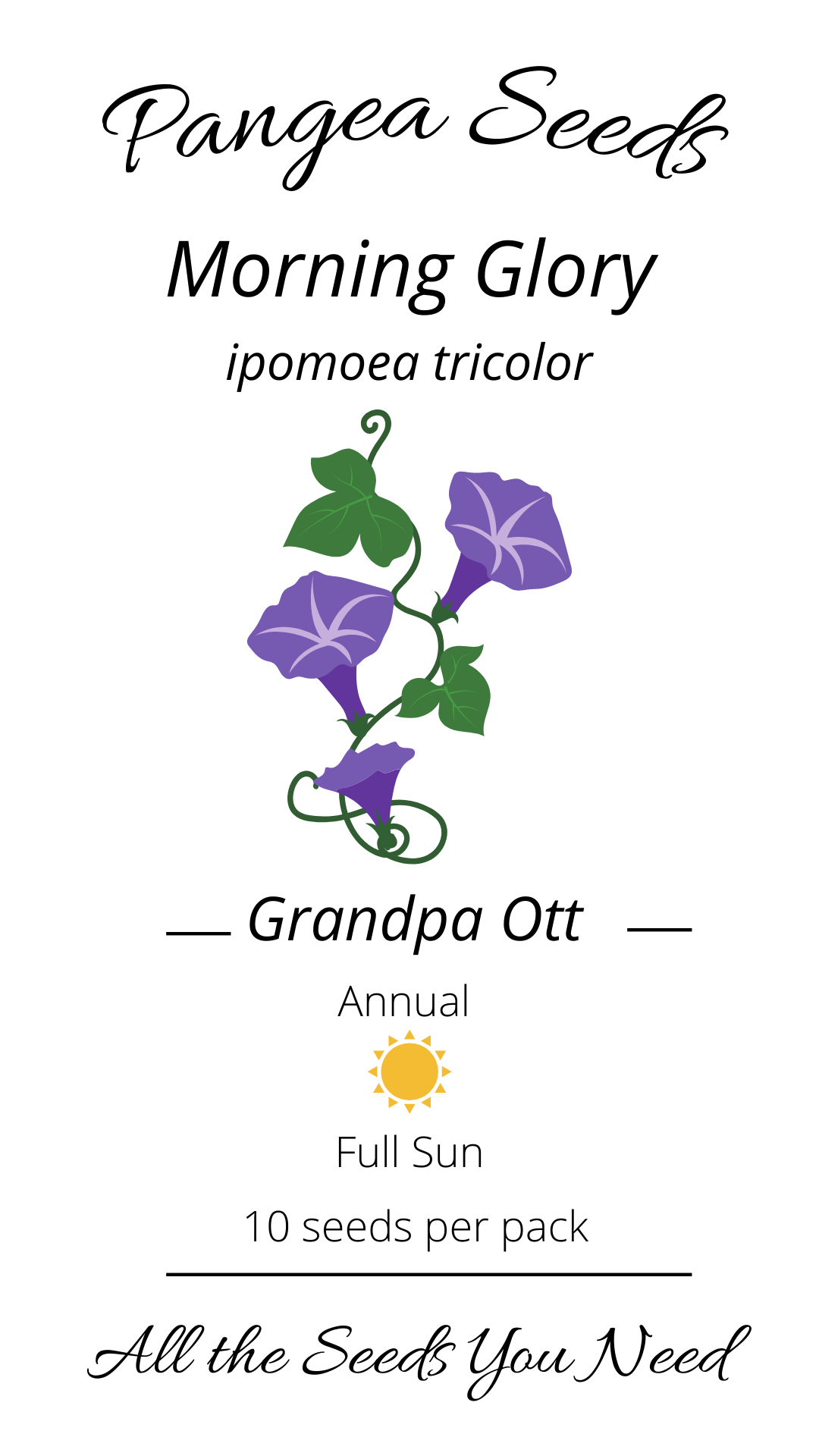 Grandpa Ott Morning Glory