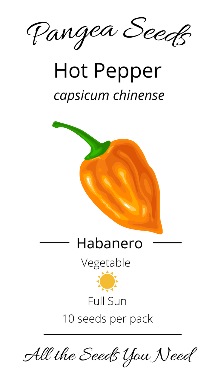 Habanero Pepper