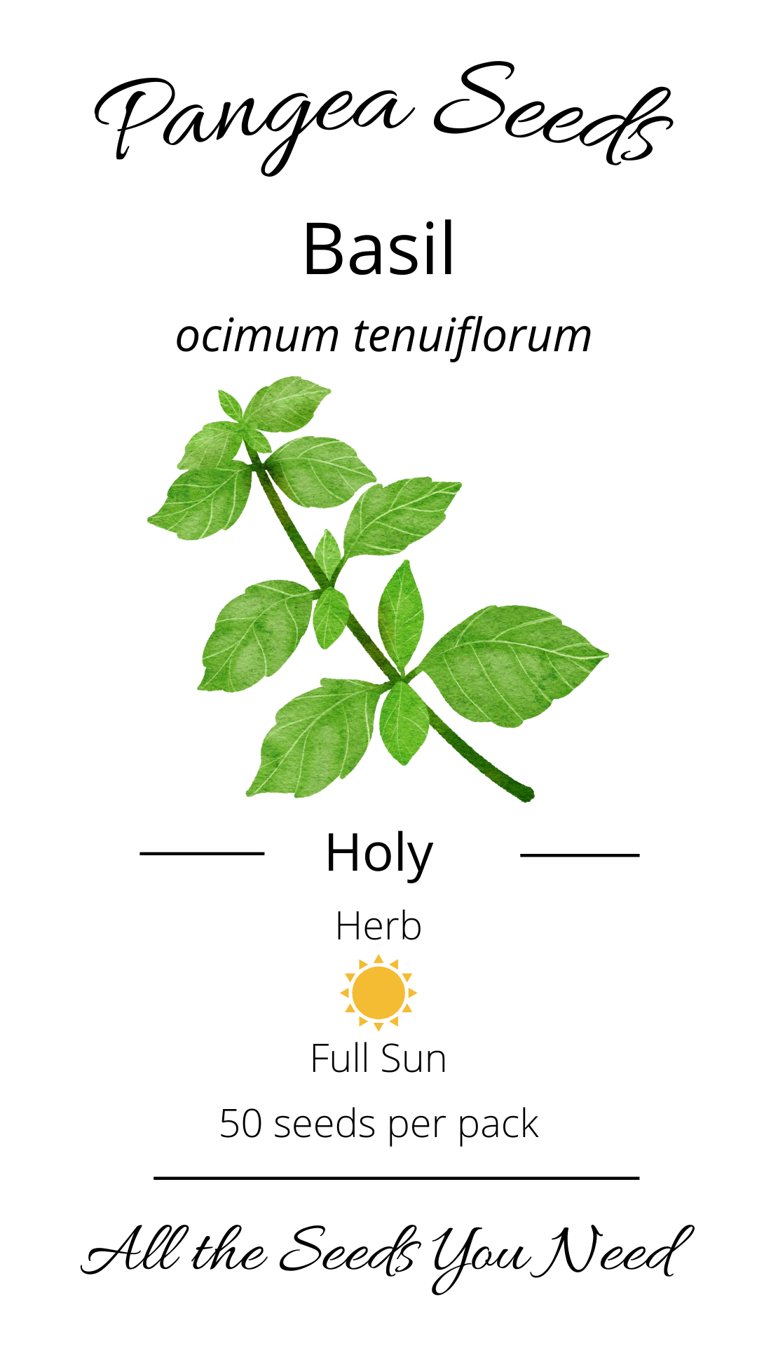 Holy Basil