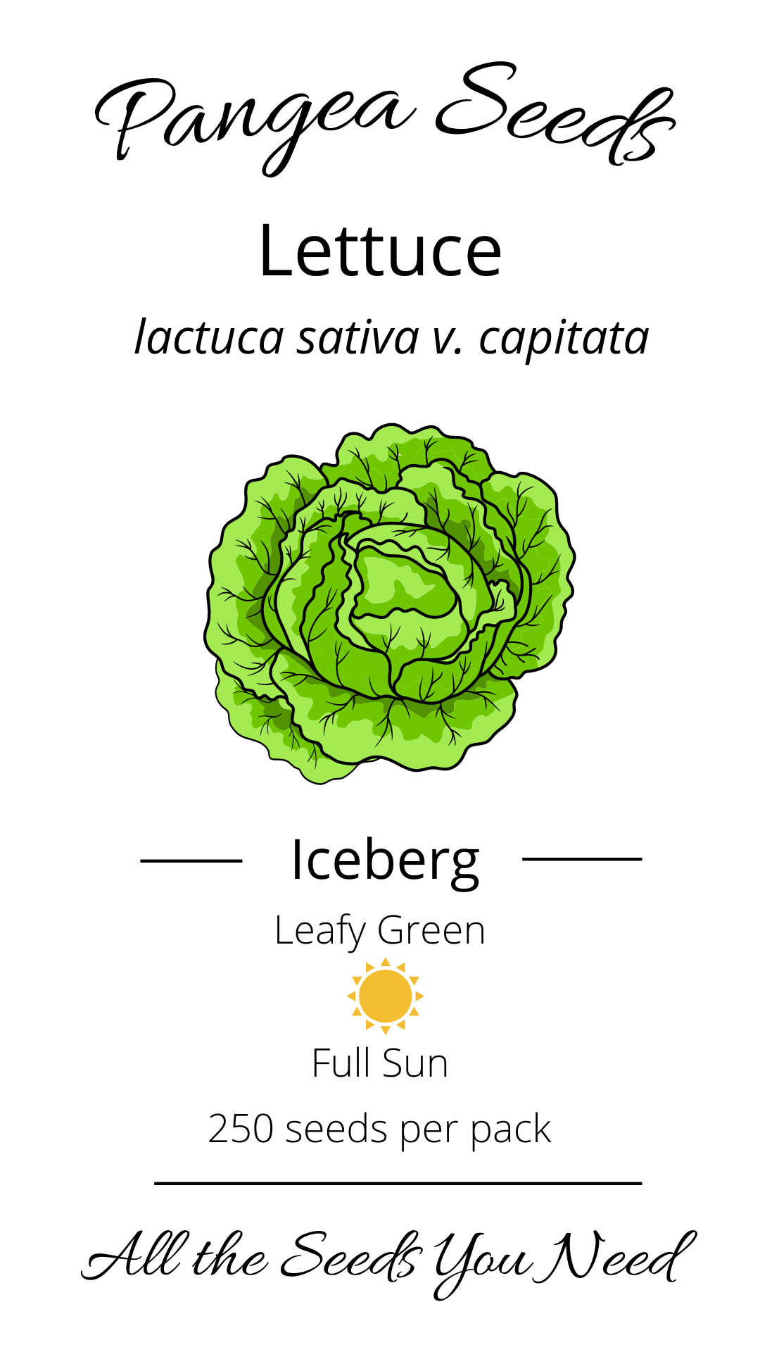 Iceberg Lettuce