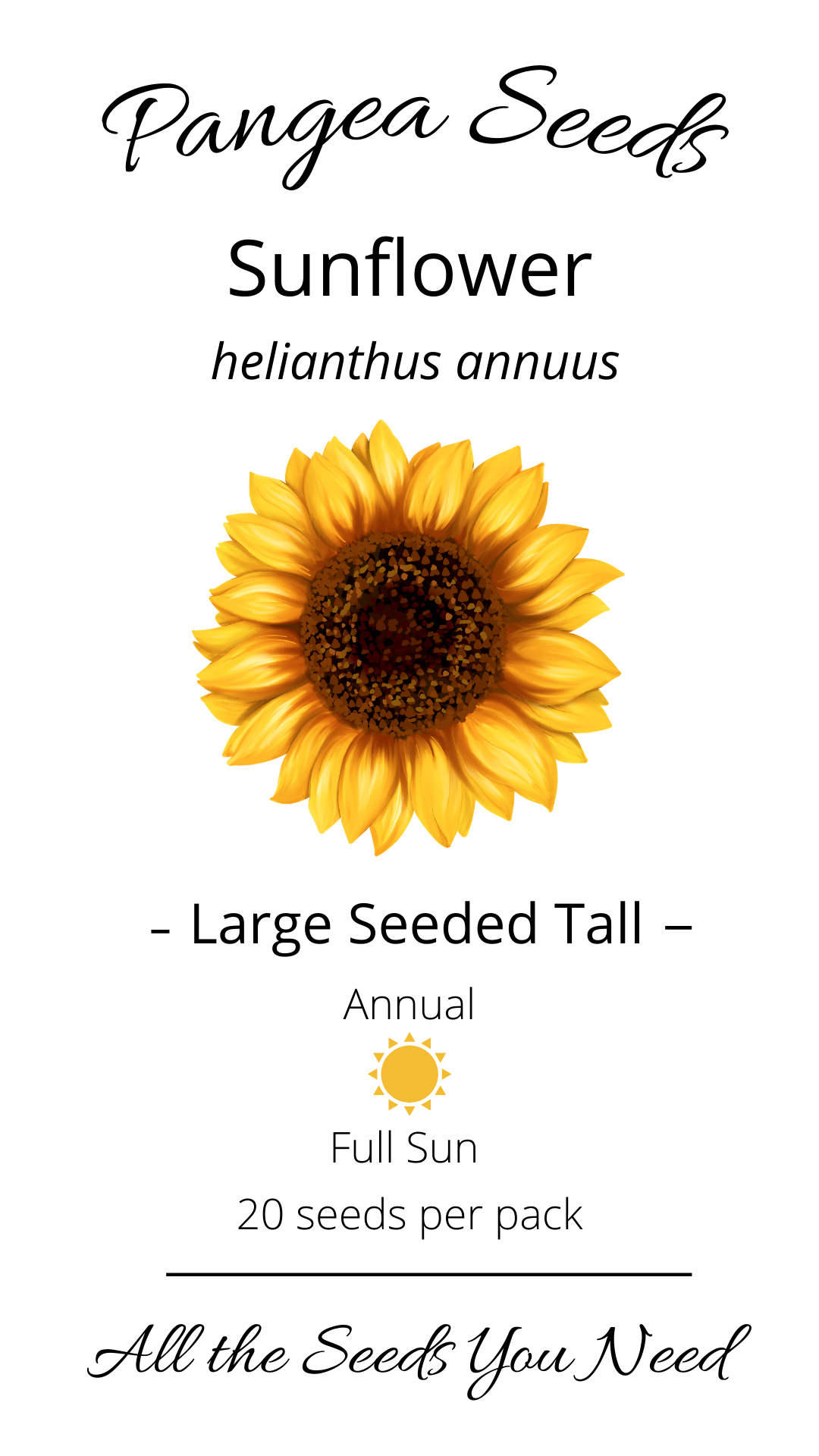 Sunflower Large Seeded Tall