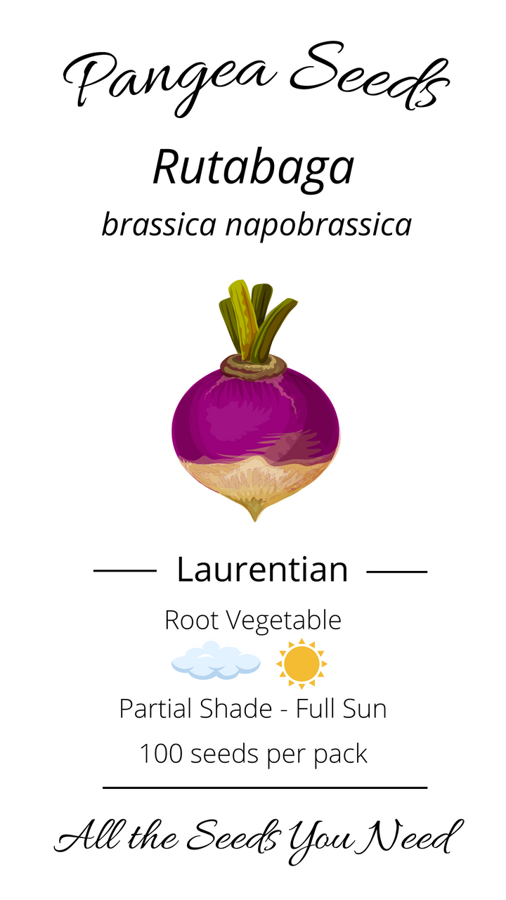 Laurentian Rutabaga