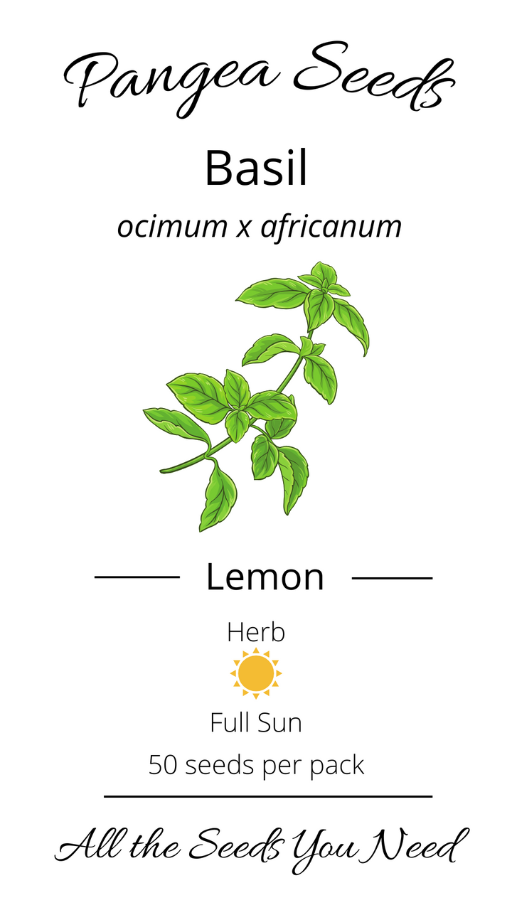 Lemon Basil